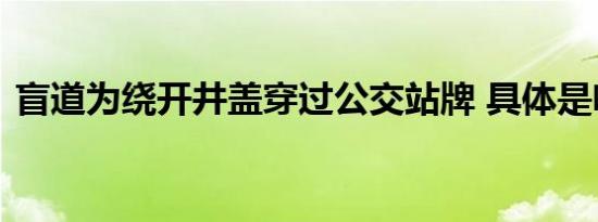 盲道为绕开井盖穿过公交站牌 具体是啥情况