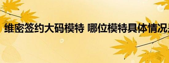 维密签约大码模特 哪位模特具体情况是什么