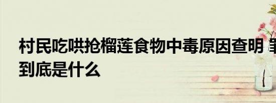 村民吃哄抢榴莲食物中毒原因查明 罪魁祸首到底是什么