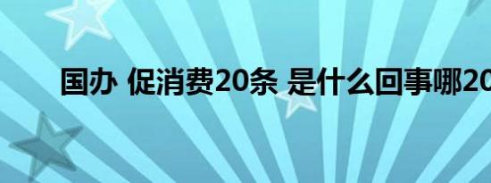 国办 促消费20条 是什么回事哪20条