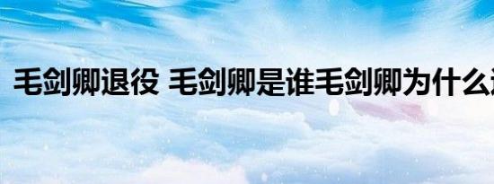 毛剑卿退役 毛剑卿是谁毛剑卿为什么退役了