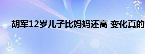 胡军12岁儿子比妈妈还高 变化真的好大