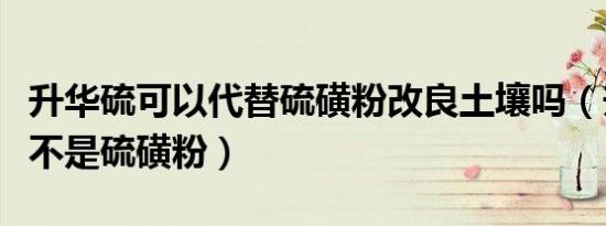 升华硫可以代替硫磺粉改良土壤吗（升华硫是不是硫磺粉）