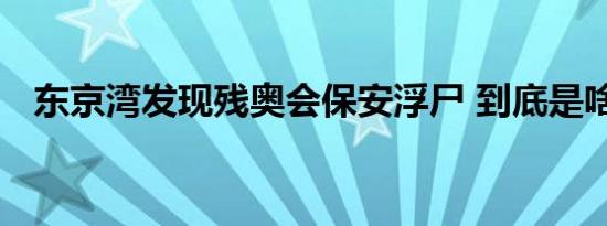 东京湾发现残奥会保安浮尸 到底是啥情况