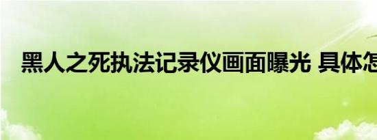 黑人之死执法记录仪画面曝光 具体怎样的