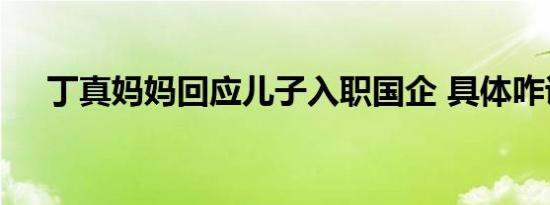 丁真妈妈回应儿子入职国企 具体咋说的