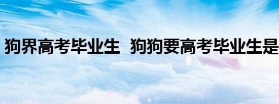 狗界高考毕业生 狗狗要高考毕业生是啥情况
