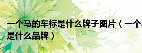一个马的车标是什么牌子图片（一个马的车标是什么品牌）