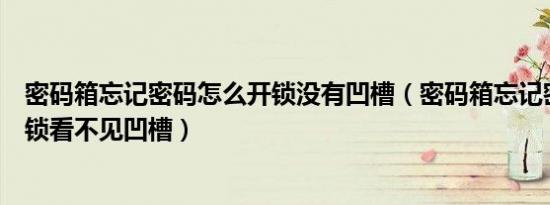 密码箱忘记密码怎么开锁没有凹槽（密码箱忘记密码怎么开锁看不见凹槽）