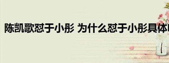 陈凯歌怼于小彤 为什么怼于小彤具体啥情况