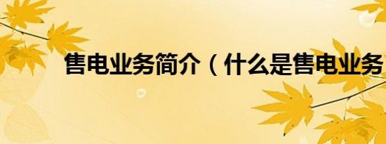 售电业务简介（什么是售电业务）