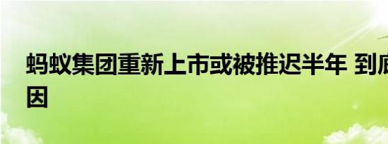 蚂蚁集团重新上市或被推迟半年 到底什么原因