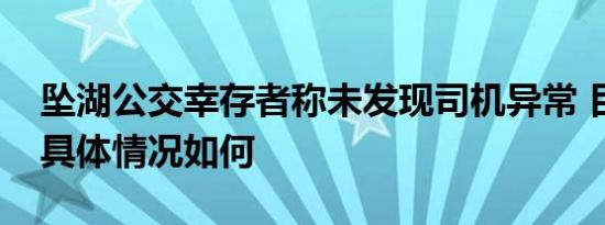 坠湖公交幸存者称未发现司机异常 目前事件具体情况如何