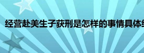 经营赴美生子获刑是怎样的事情具体经过是