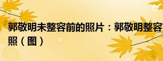 郭敬明未整容前的照片：郭敬明整容前大量旧照（图）