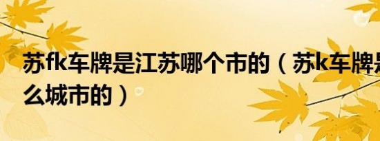 苏fk车牌是江苏哪个市的（苏k车牌是江苏什么城市的）