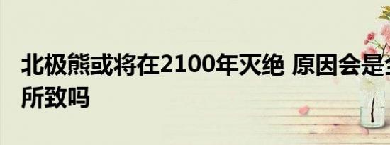 北极熊或将在2100年灭绝 原因会是全球变暖所致吗