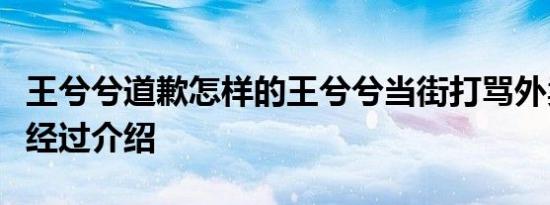王兮兮道歉怎样的王兮兮当街打骂外卖员事件经过介绍