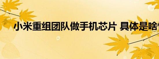 小米重组团队做手机芯片 具体是啥情况