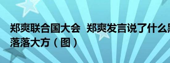 郑爽联合国大会 郑爽发言说了什么黑色西装落落大方（图）