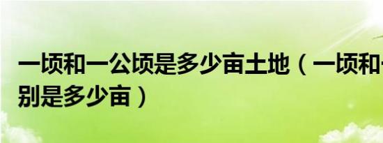 一顷和一公顷是多少亩土地（一顷和一公顷分别是多少亩）