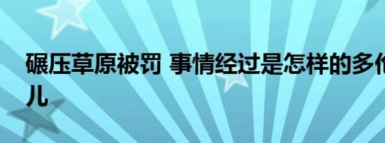 碾压草原被罚 事情经过是怎样的多伦县在哪儿