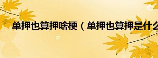 单押也算押啥梗（单押也算押是什么梗）