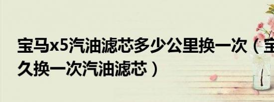 宝马x5汽油滤芯多少公里换一次（宝马X5多久换一次汽油滤芯）