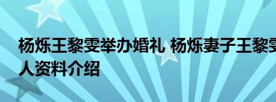 杨烁王黎雯举办婚礼 杨烁妻子王黎雯是谁个人资料介绍