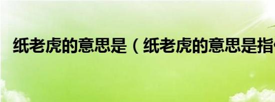 纸老虎的意思是（纸老虎的意思是指什么）