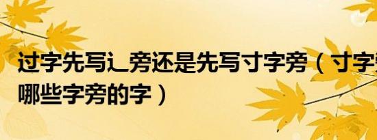 过字先写辶旁还是先写寸字旁（寸字旁的字有哪些字旁的字）