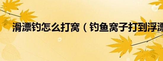 滑漂钓怎么打窝（钓鱼窝子打到浮漂哪）