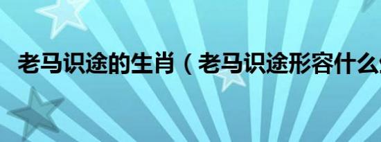 老马识途的生肖（老马识途形容什么生肖）