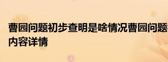 曹园问题初步查明是啥情况曹园问题初步查明内容详情