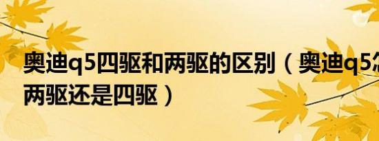 奥迪q5四驱和两驱的区别（奥迪q5怎么区分两驱还是四驱）