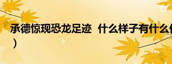 承德惊现恐龙足迹 什么样子有什么价值（图）