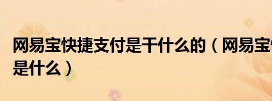 网易宝快捷支付是干什么的（网易宝快捷支付是什么）