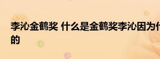 李沁金鹤奖 什么是金鹤奖李沁因为什么获奖的
