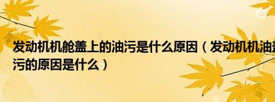 发动机机舱盖上的油污是什么原因（发动机机油盖周围有油污的原因是什么）