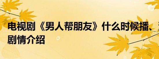 电视剧《男人帮朋友》什么时候播、演员表及剧情介绍
