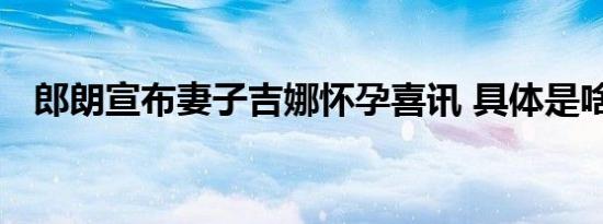 郎朗宣布妻子吉娜怀孕喜讯 具体是啥情况