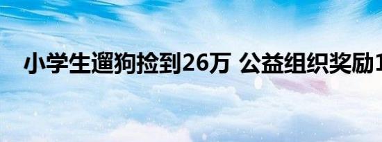 小学生遛狗捡到26万 公益组织奖励1万元