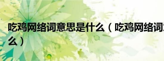 吃鸡网络词意思是什么（吃鸡网络词意思是什么）