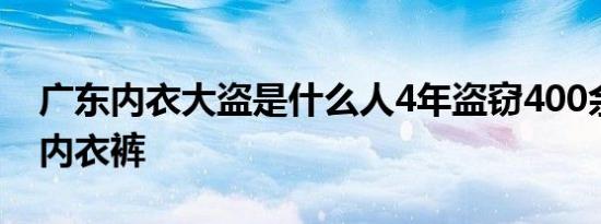 广东内衣大盗是什么人4年盗窃400余件女性内衣裤