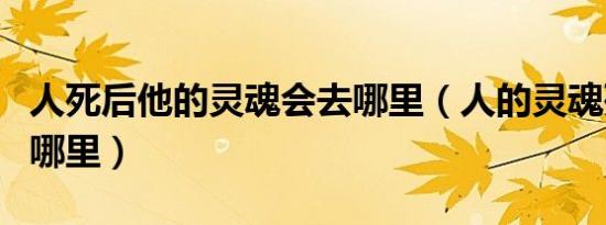 人死后他的灵魂会去哪里（人的灵魂死后去向哪里）