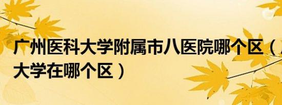 广州医科大学附属市八医院哪个区（广州医科大学在哪个区）