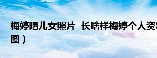 梅婷晒儿女照片 长啥样梅婷个人资料介绍（图）