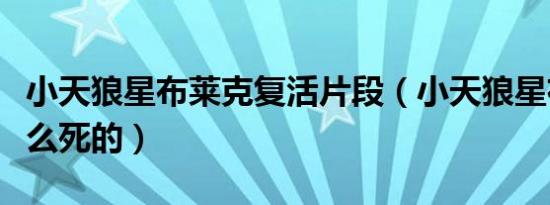 小天狼星布莱克复活片段（小天狼星布莱克怎么死的）