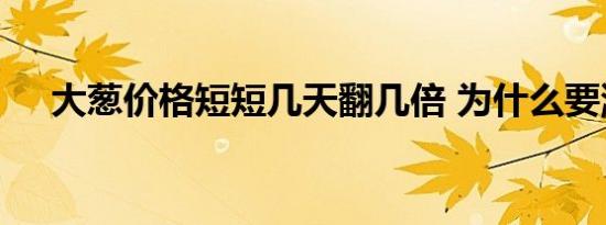 大葱价格短短几天翻几倍 为什么要涨价