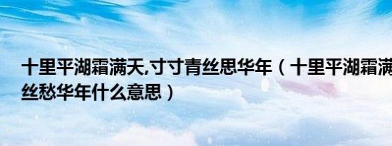 十里平湖霜满天,寸寸青丝思华年（十里平湖霜满天 寸寸青丝愁华年什么意思）